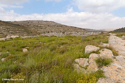 195055F0-14A9-4652-9054-77D463973A76