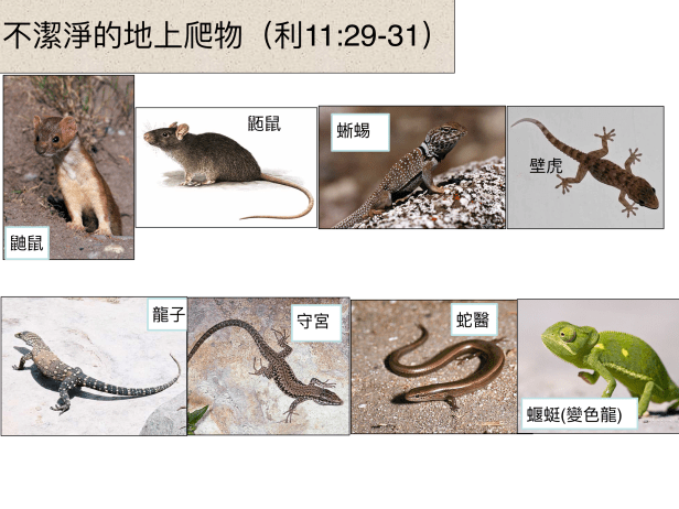 347FF629-2385-4FE6-9004-6E8915059C5C