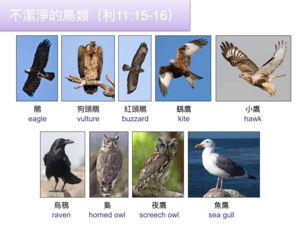 657C0C28-5679-4752-A39F-C82E59F5606C