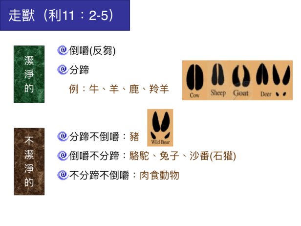 6D8716E4-5BEA-4D05-B0E3-DEDA46CC3634