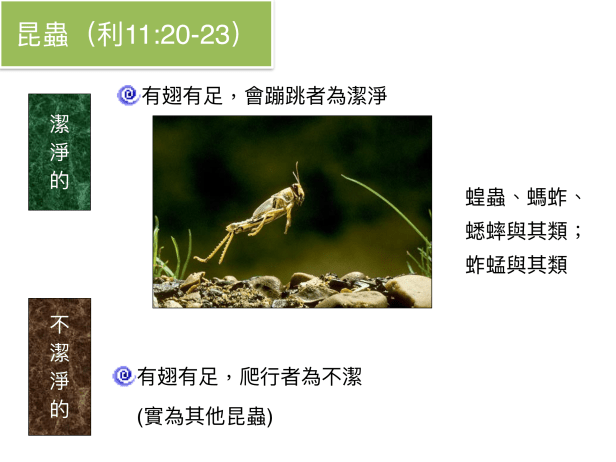 7EED373E-DD09-4B02-8E89-CA67681E3316