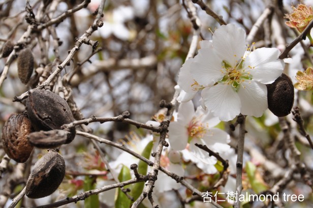 B93D04DC-6701-4D77-864B-C21218417E31