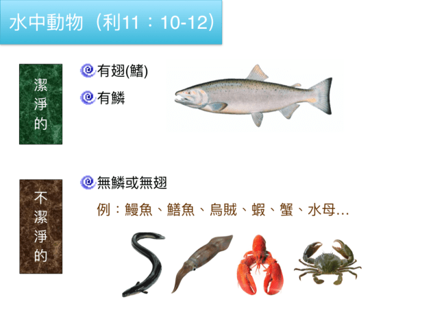 F3CAD1E4-0E7E-456F-833D-A68B2AFB1F9E