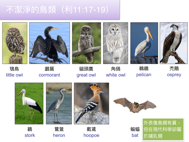 F7FFDF31-3E7D-4FD0-856A-DA0F96AD9C3C