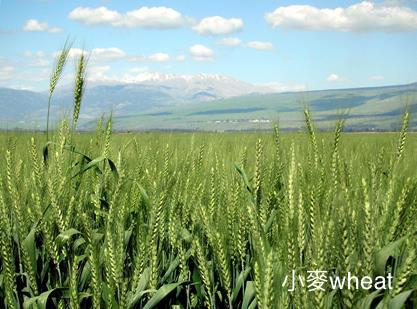 ABE24CA7-1C2A-48DA-9F84-73CEA8BCF514