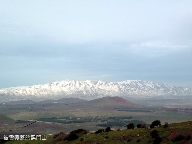 C91291D1-8E53-4506-8EA7-0ACDB0D6BD85