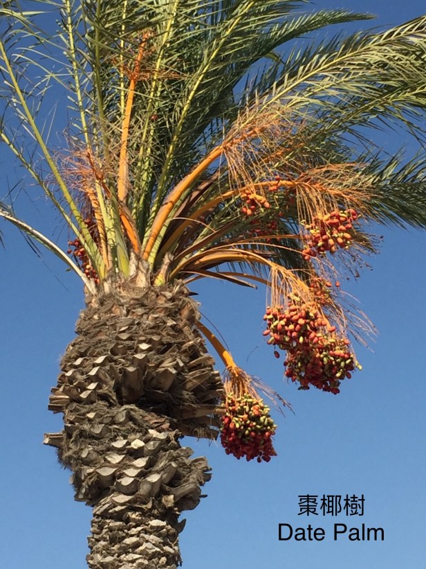 E557B6E0-4B05-461C-A02A-51AC24080E7F