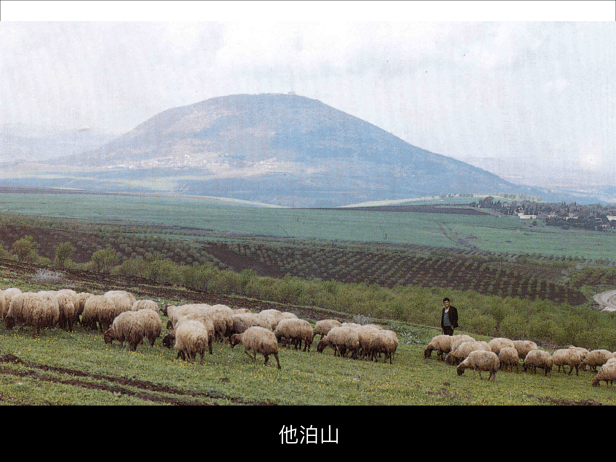 8DEC784D-EEA9-4FA8-8449-A2F2FD09155B