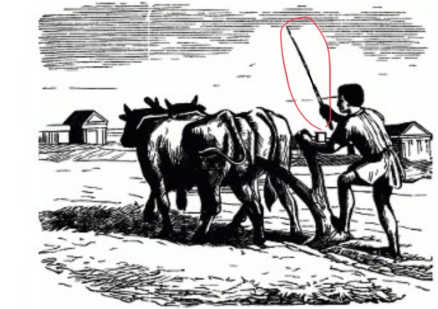 BF47DF2B-DB53-42D8-90E6-821FC361A0A0