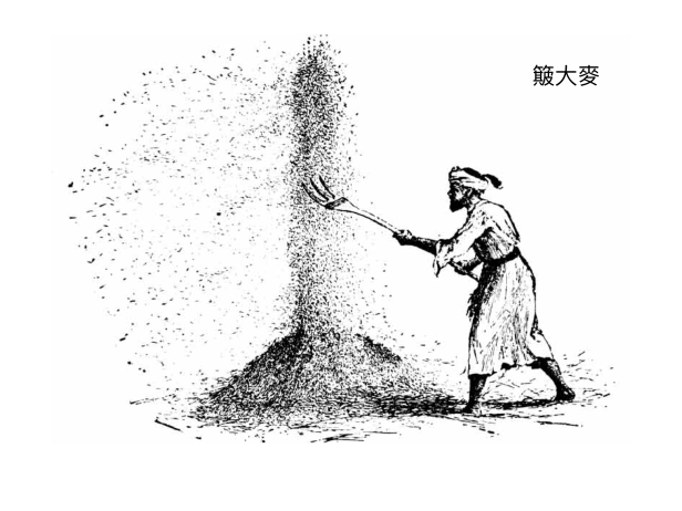 E12542BD-8391-4403-8C3B-416934BA3879