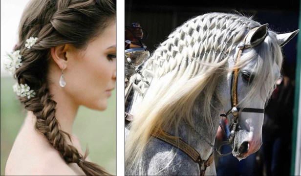 2A946338-160C-45EE-96A3-C3F907097F5A