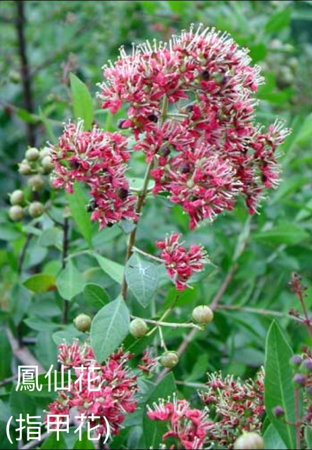 5638EABB-D22B-4073-B635-ABED54B43C6D