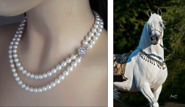 9DA8B0B0-E845-467D-A180-71BB1CE1F347